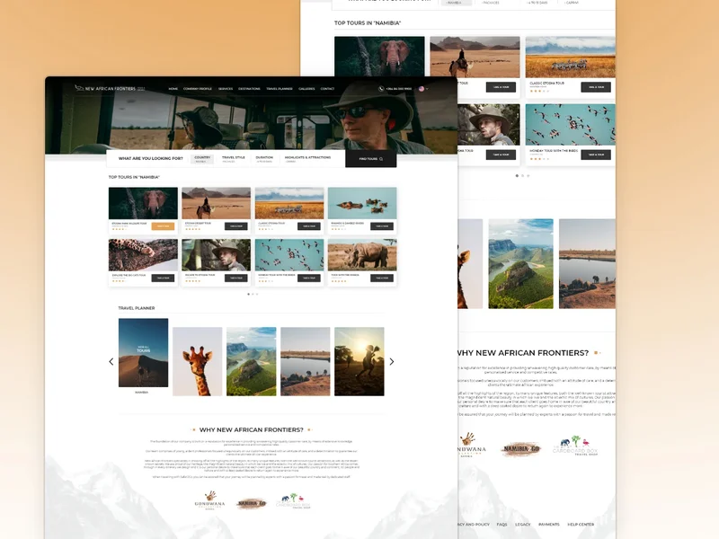 New African Frontiers Website Design Concept